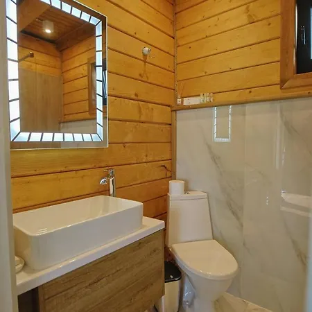 Chalet Vdoma Karpaty Vilshynki