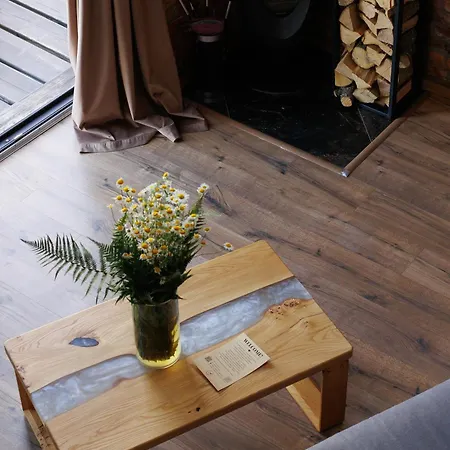 Chalet Vdoma Karpaty Vilshynki