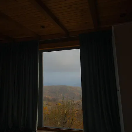 Vdoma Karpaty Chalet Vilshynki