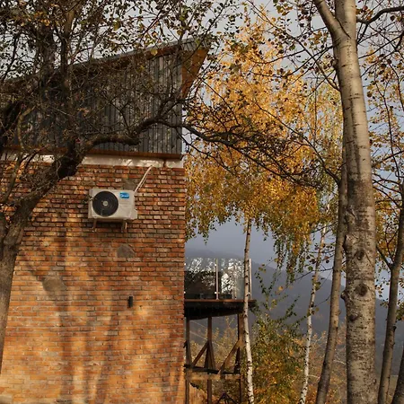 Vdoma Karpaty Chalet *