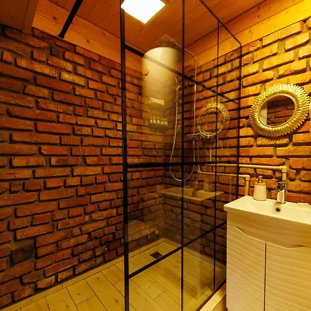 Vdoma Karpaty Chalet Vilshynki