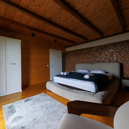 Chalet Vdoma Karpaty Vilshynki