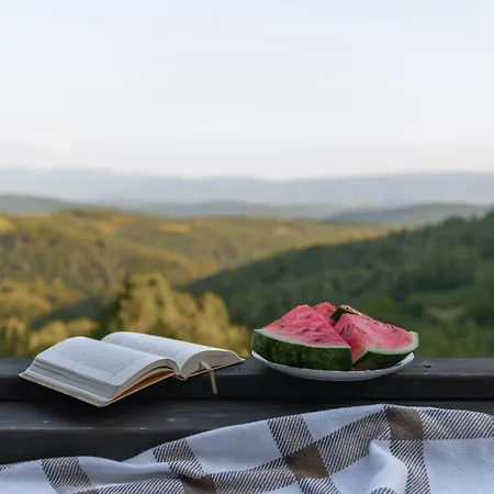 Chalet Vdoma Karpaty Vilshynki