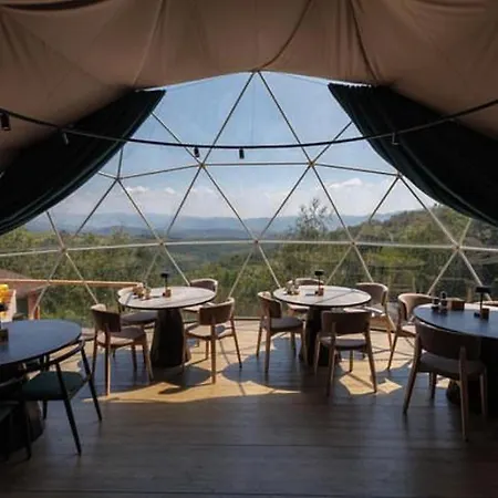 Vdoma Karpaty Chalet *
