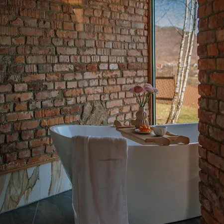 Vdoma Karpaty Chalet Vilshynki